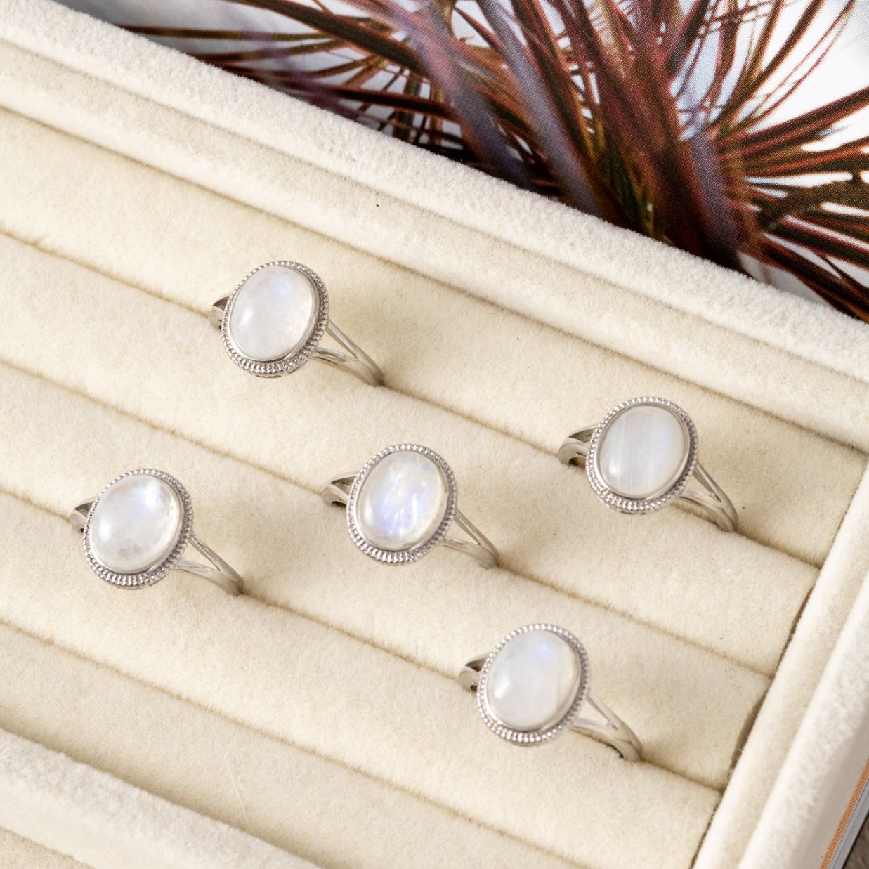 Mondsteinring – 925er Sterlingsilber – verstellbar – feminine Energie