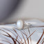 Mondsteinring – 925er Sterlingsilber – verstellbar – feminine Energie